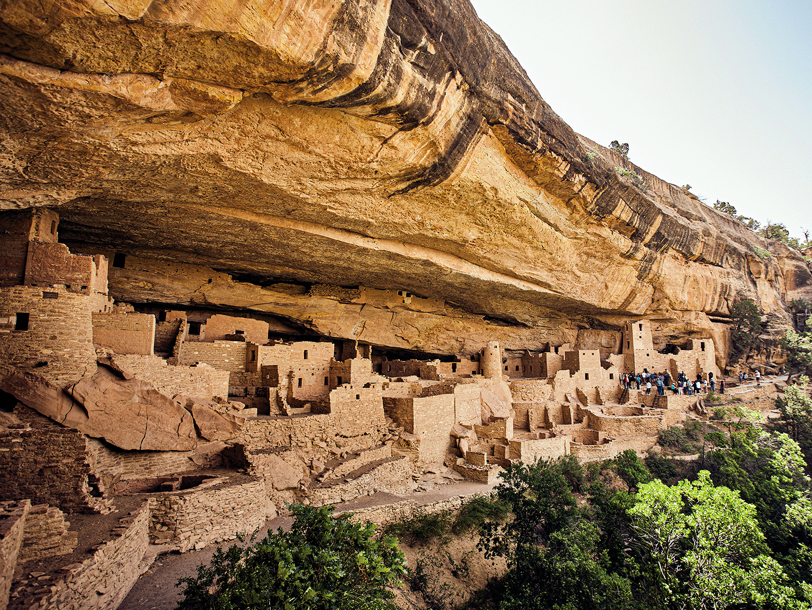 mesaverde